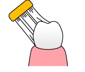 正しい歯の磨き方